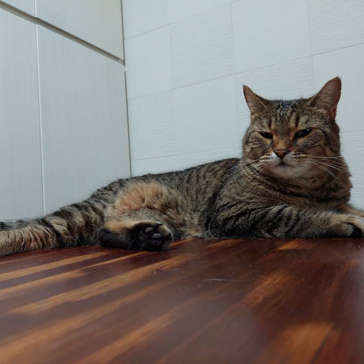 8c44cd3a d0fe 4626 acc7 2f202b4605be 1628026633614