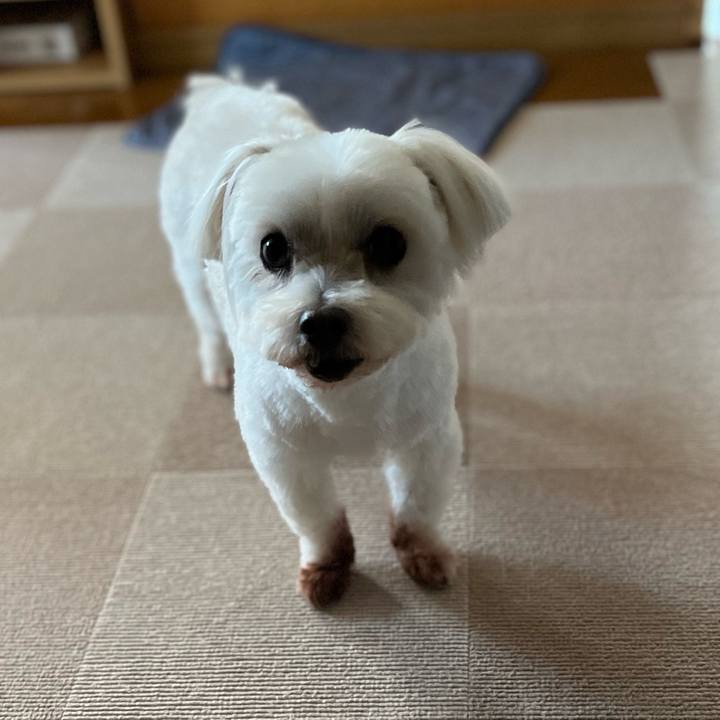 8c44dc93 44cc 4178 9009 4743e6a19be0 1654326514383