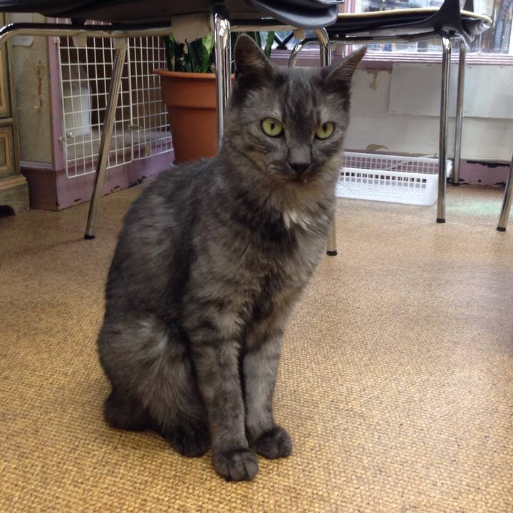 8c44ec28 78bb 48a2 b1af 9cfa4578f398 1512780260382