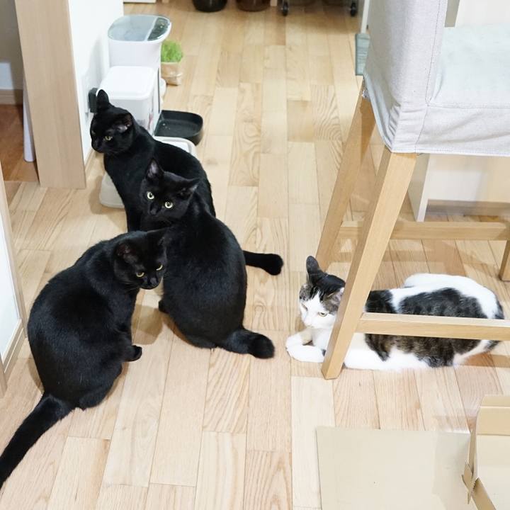 8c44f4d6 9a23 4391 9b52 e1ba03161cdf 1561988680335