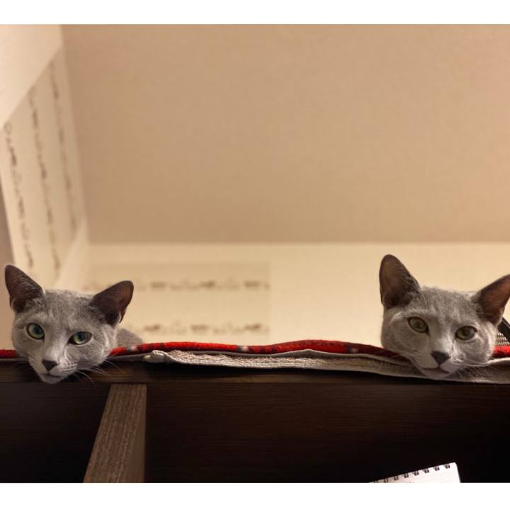 8c45264d 6be1 4ff6 a458 975dfc5b3484 1611751328122