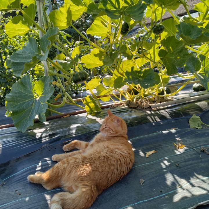 8c4540c9 62c6 44b6 bc76 863a16207f0a 1719649962760