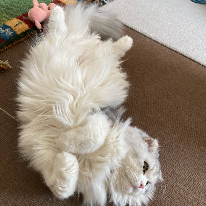 8c45afea b859 4b27 97fa 3f76d4ff0b07 1612098314859