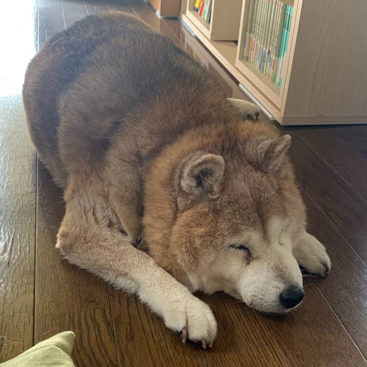 8c45b029 259b 43bb a88b 79ff38269075 1654395256819