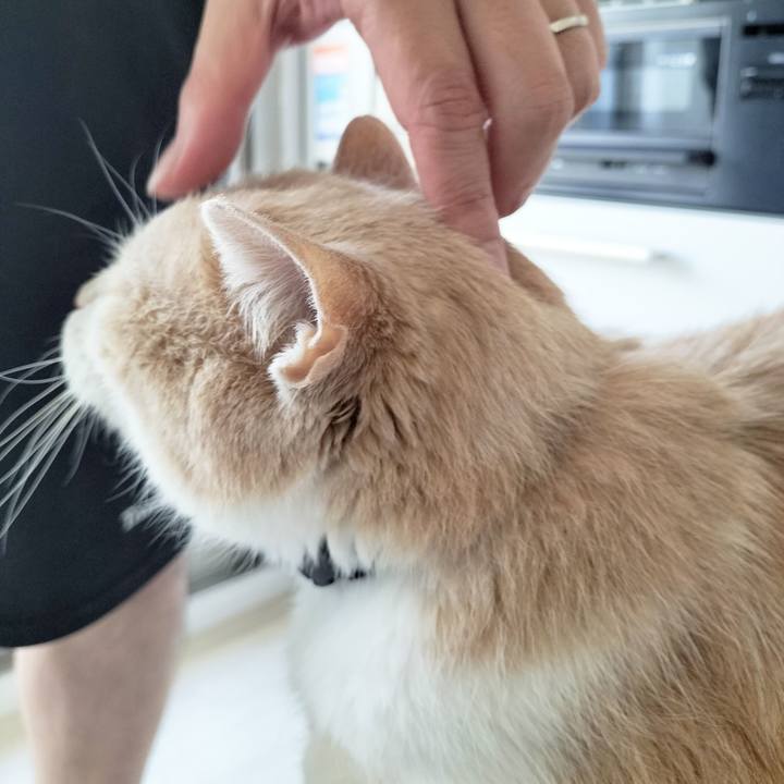 8c4626e6 3860 4e87 9291 f2804532584f 1685830863211