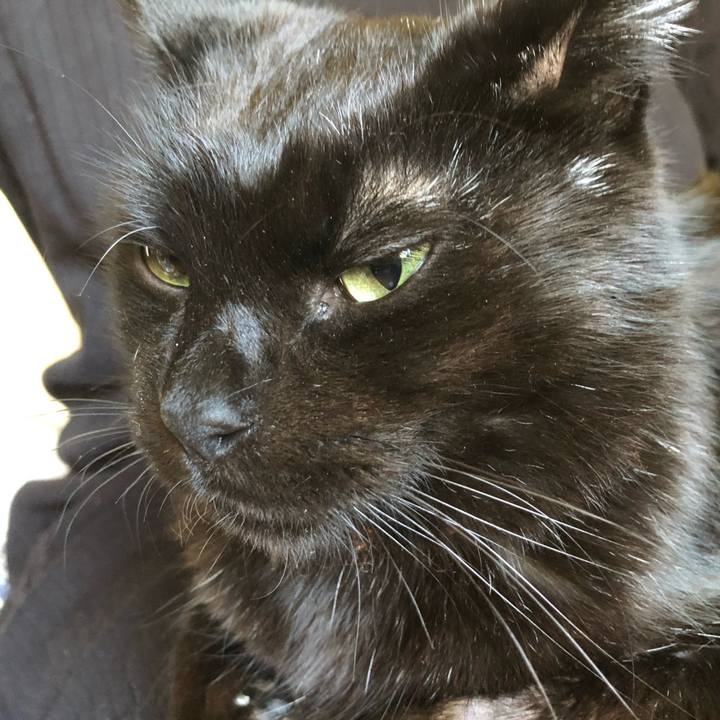 8c463255 94a0 46e6 ab5b 4aae41809830 1571544494910