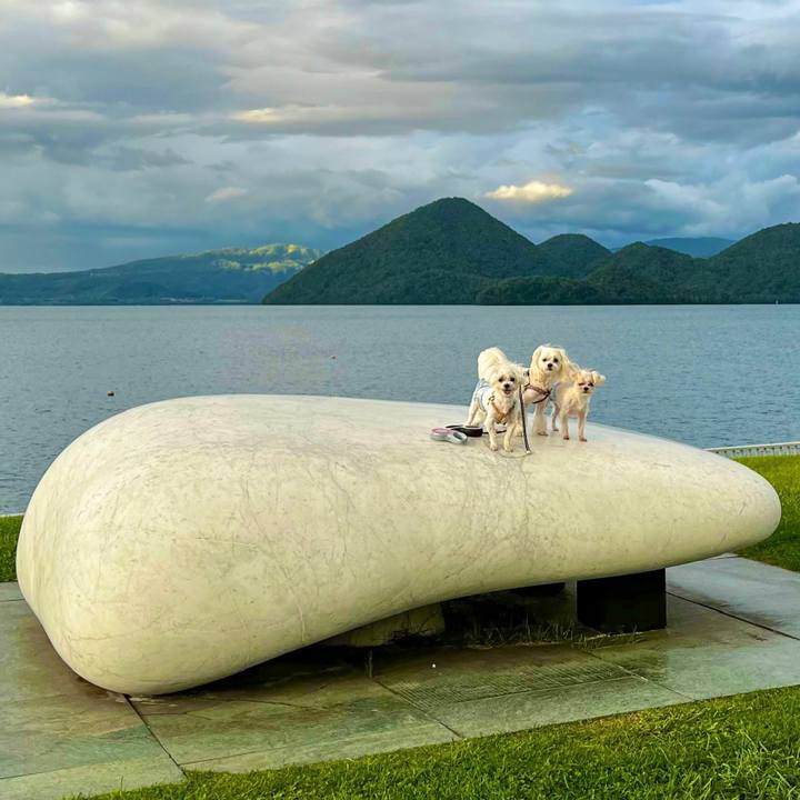 8c466927 5bc4 483d ae85 6dbcd64cbba0 1662001083478