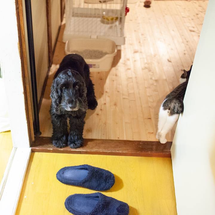 8c46c5f9 f659 466e 823f 844e6984ab25 1575993799298