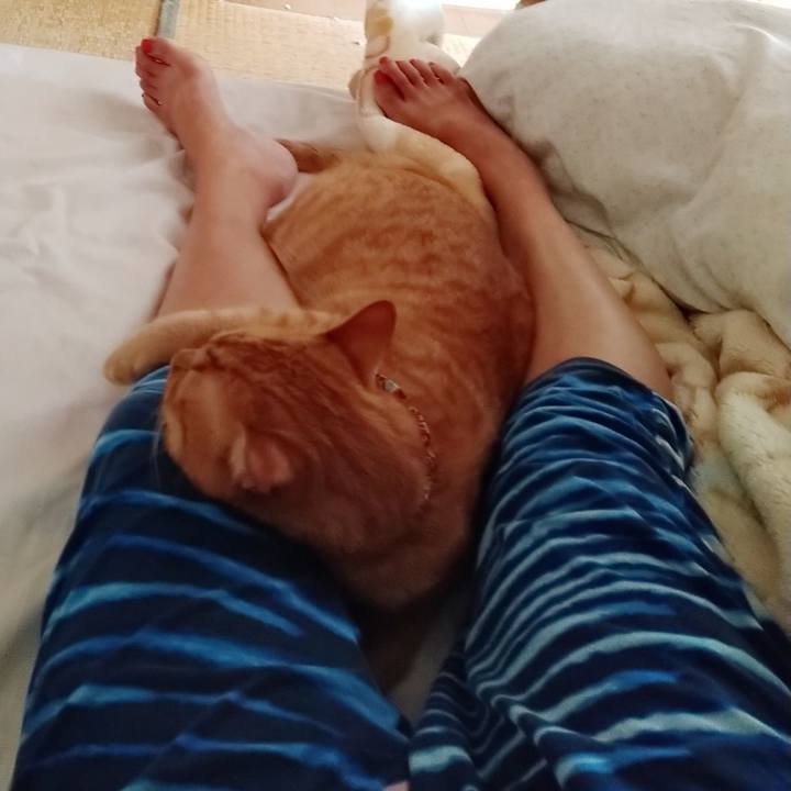 8c46e8b2 c190 4f99 89a8 316b33ce10b2 1597537345901