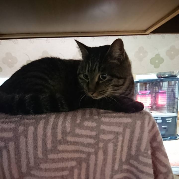 8c470546 b4a3 4dd9 bc62 a6127f8e5190 1638046067027