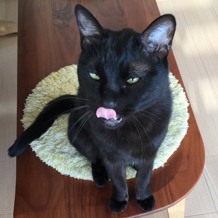 8c472ceb 9261 48b8 bf48 eb1d0387608b 1525423975801