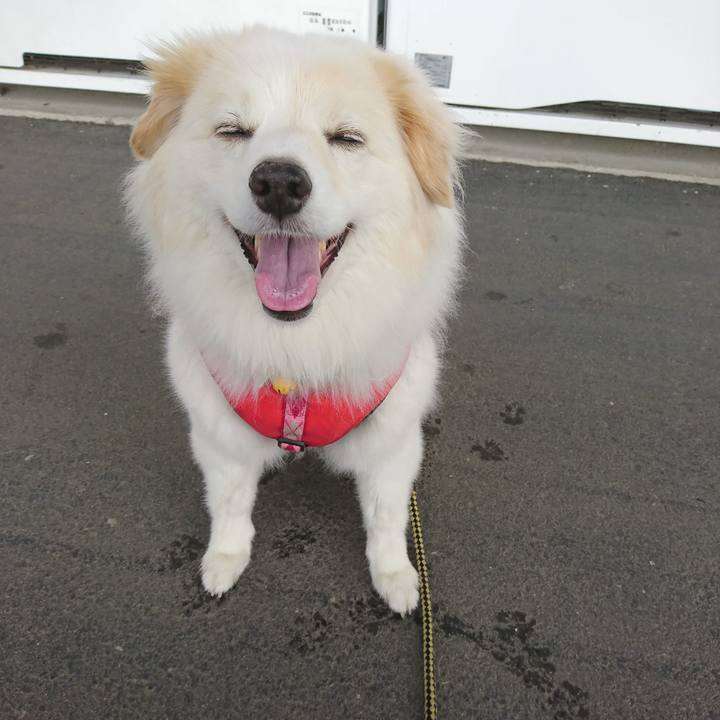 8c4747fe 14ee 4118 9dc3 acbc99ae5dba 1528752642979