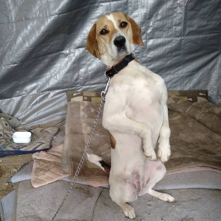 8c474d04 08db 4052 bee8 c8176335eb0f 1624333395540