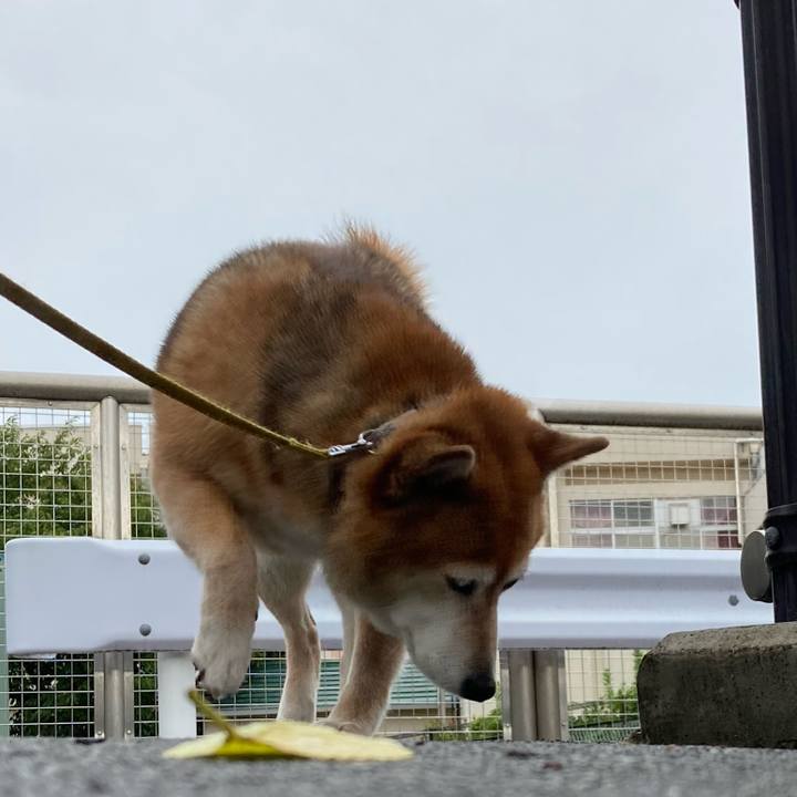 8c47b211 aa49 4d90 8b2d e289ccd597f9 1660371008170