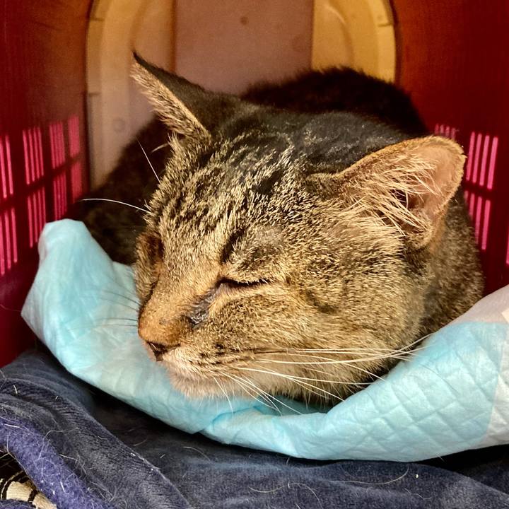 8c47b511 37f8 4f9a b564 3c9b9484296b 1686450428737