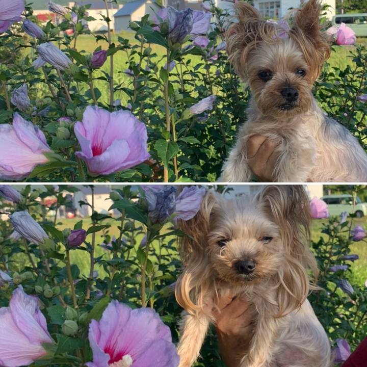 8c47c6ac acad 469e 9157 9ded3a7b5f36 1659779840177