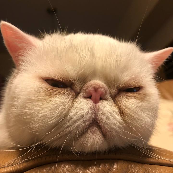 8c47de61 223c 47dc b8b1 adc267aab27c 1625132940070