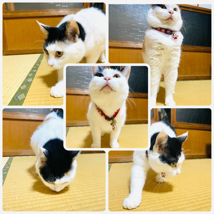 8c47e895 5d0e 4a54 9b48 bde7df7cce5c 1725719357828