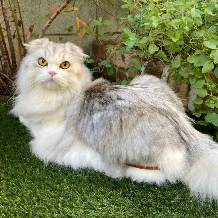 8c480727 23a5 46f1 ad11 64583fba53de 1636853325907