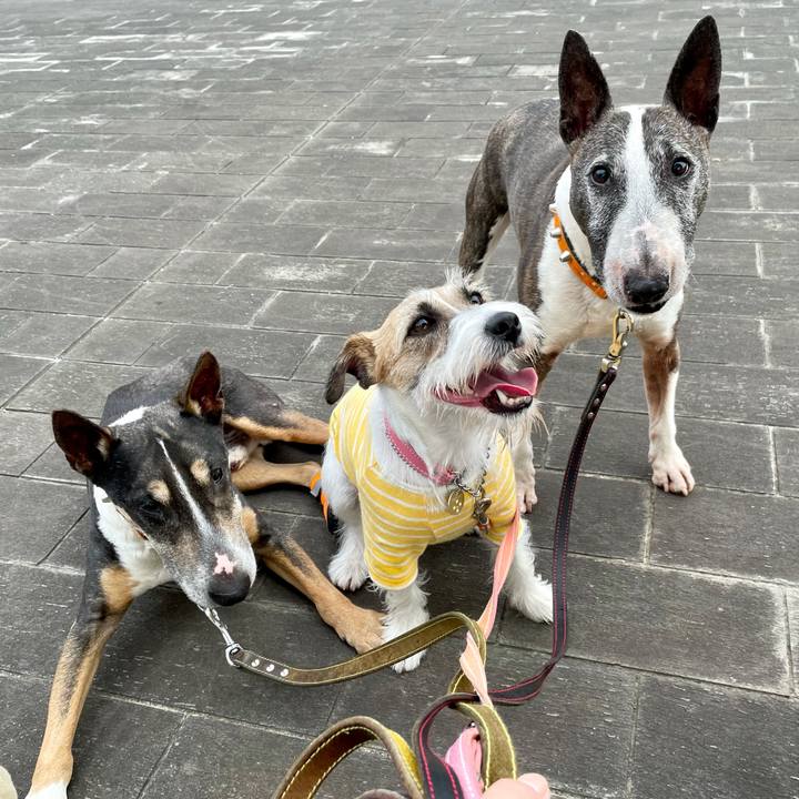 8c4813f5 093f 418b b43f e2de283d3963 1624710552504