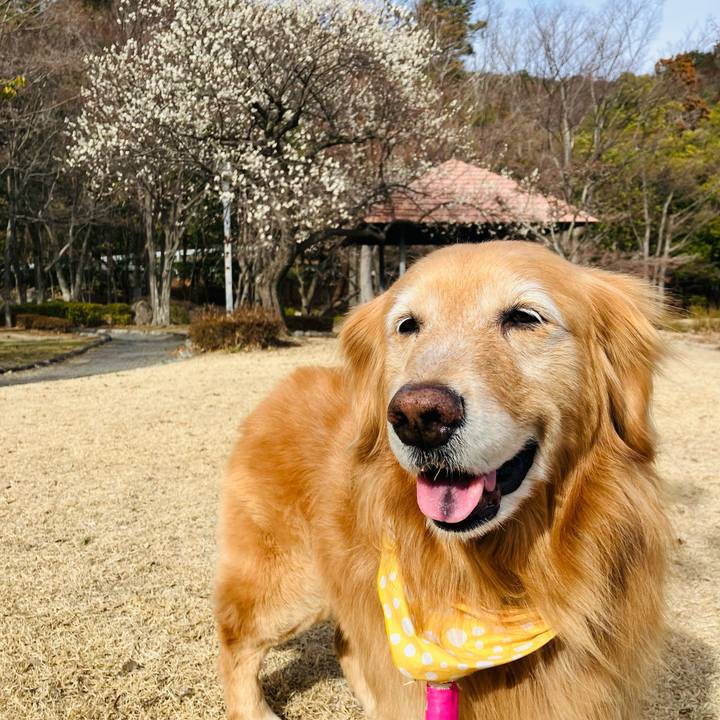 8c487bd5 aa15 4ca5 975c 86fa85da271f 1773472538377