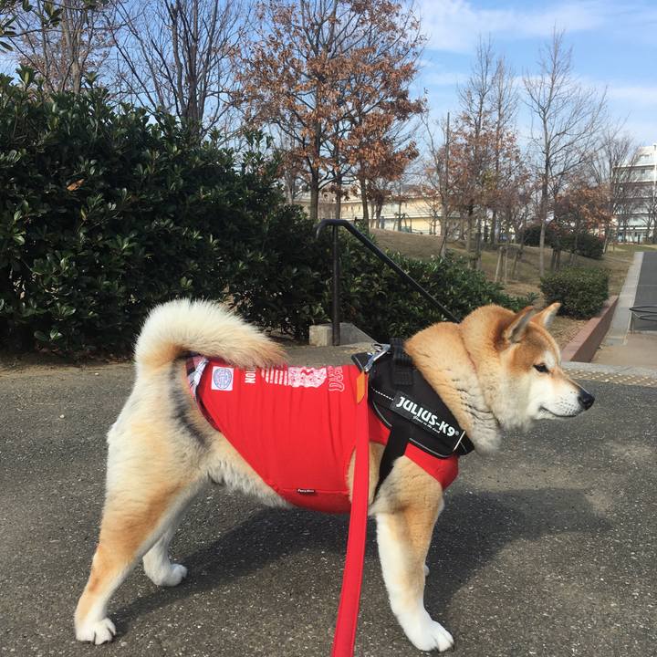 8c487d59 079b 4ee0 87f5 9c551bfc3848 1580707496514