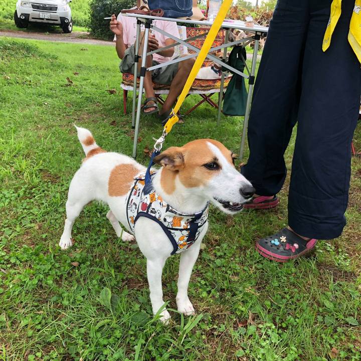 8c488306 b7b4 4e5b a2c8 c3cd9ef0adf4 1535864544883