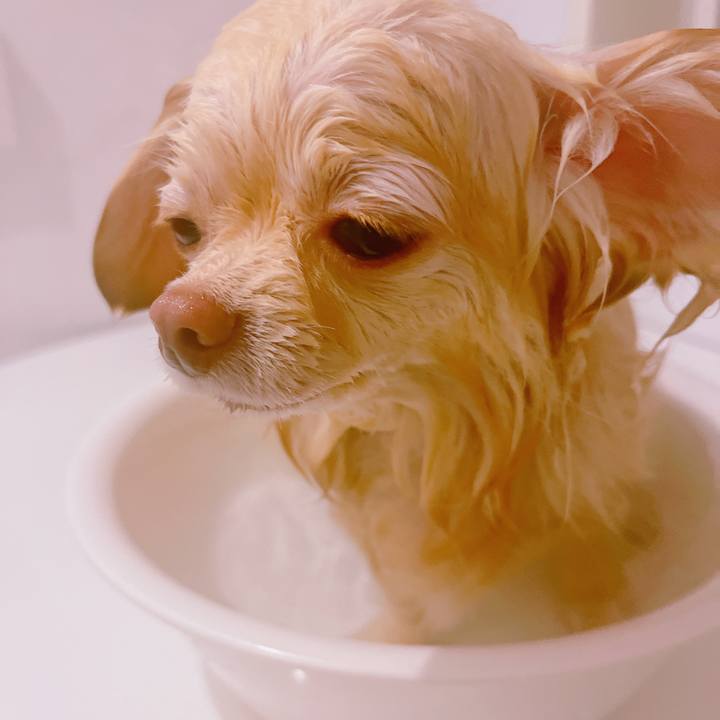 8c48d9e5 d190 4b7b 9ff1 96ac21563d4b 1650455588149