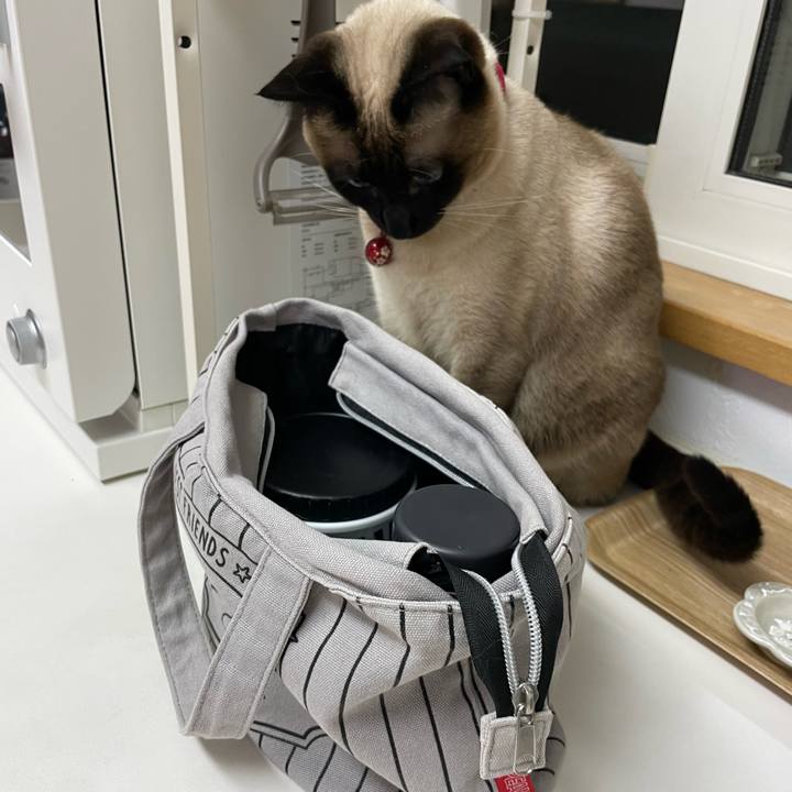 8c490fcc b1f2 4803 b0ff 1e8e2b596114 1736974308907