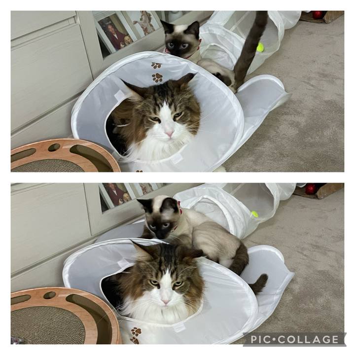 8c4913ff ac7e 4791 90ef d1a9254517cb 1706568331547