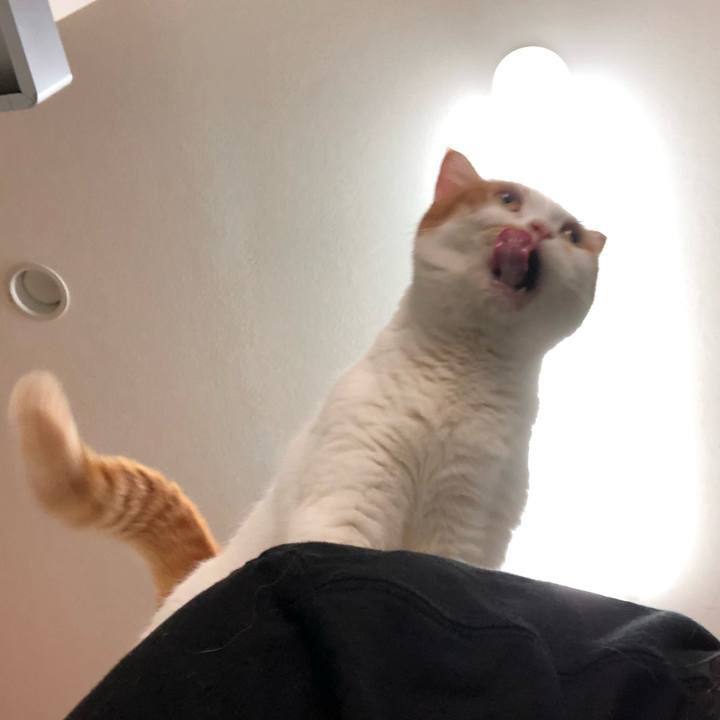 8c498422 67ea 439f b9f7 5cf077c14025 1766038892352