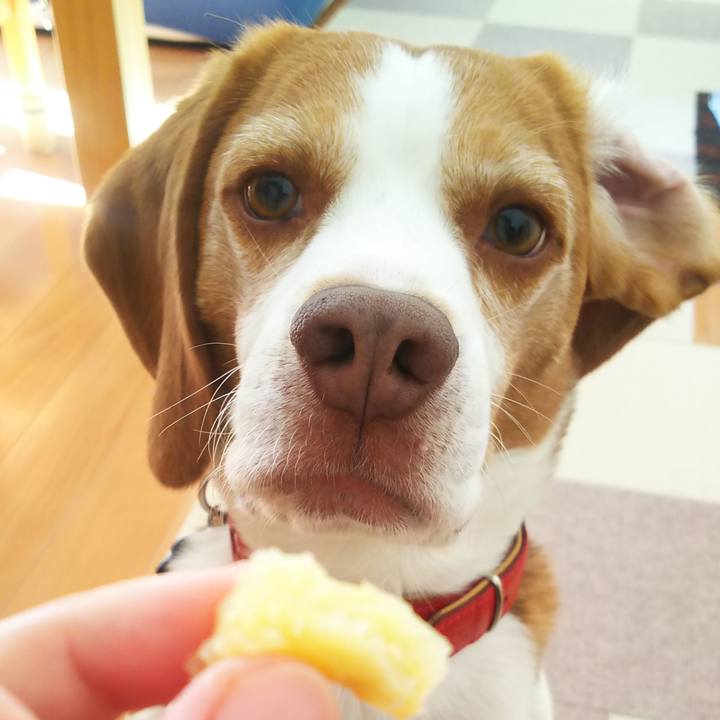 8c49ed32 10f4 4d74 871e e80e40b0e9de 1636600696139