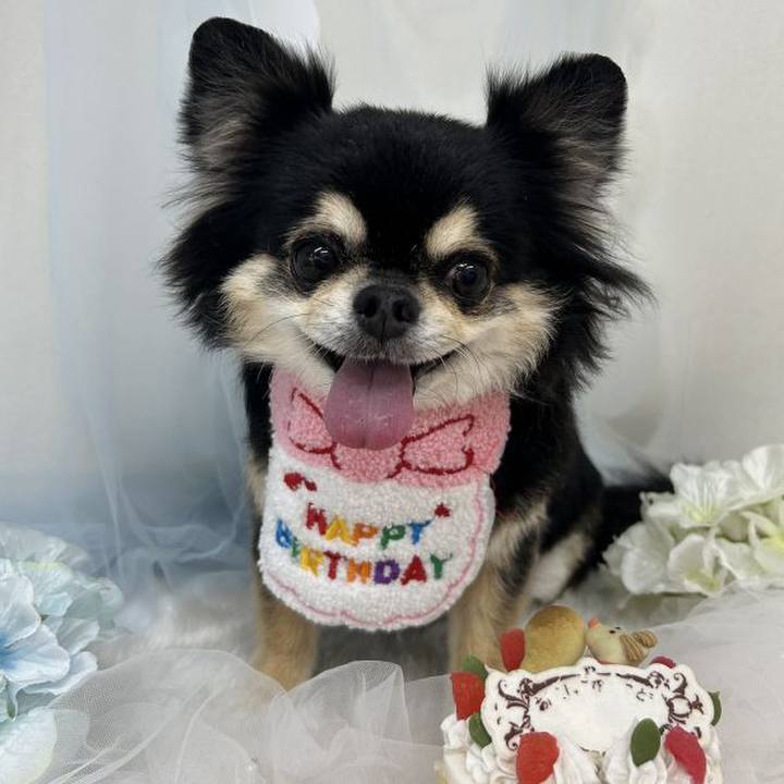 8c49efe1 77b5 42cb 8132 2d4931dba855 1750820991342