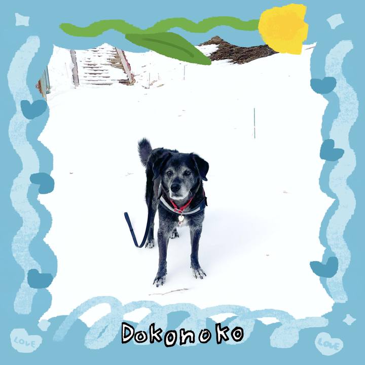 8c4a2f87 8bd4 43a2 8ce4 6e3dc3c1c18d 1772431406458