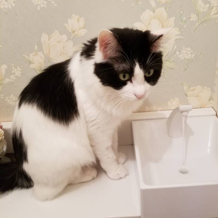 8c4a358c e8fb 4ba2 9567 97e8892e0276 1538092970434