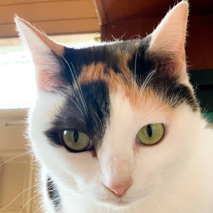 8c4a6b0c 2194 458b 81fb 5815d2e109e5 1591408634026