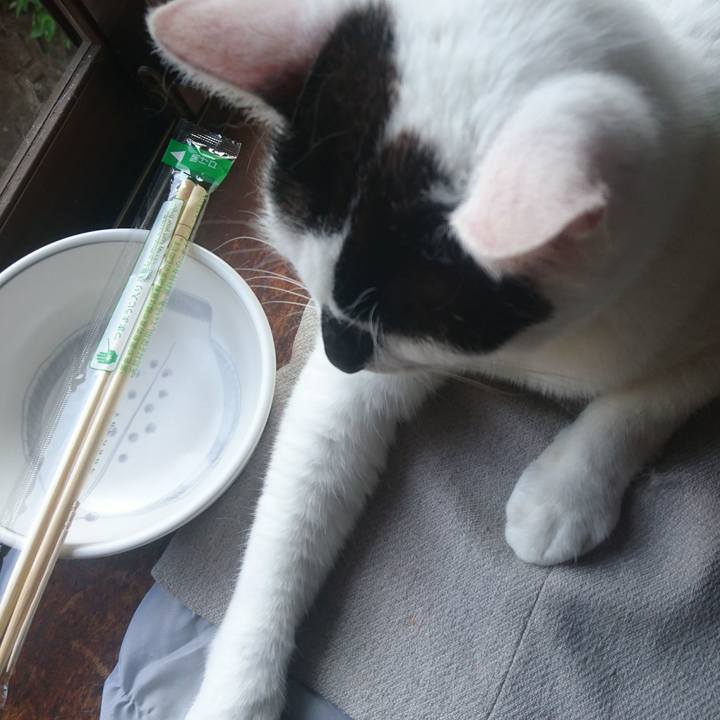 8c4a94f7 7759 4763 8245 b47c7719a046 1597477868054