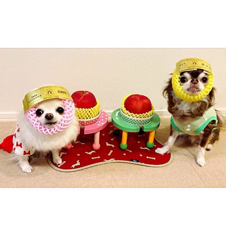 8c4aa313 4dd9 4239 a1a6 260d4c3e2da6 1636889410768