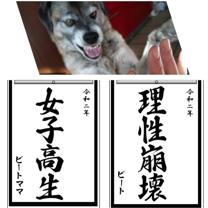 8c4ad2e4 9ad6 4439 be84 187300db8a61 1577947282322