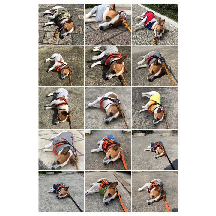 8c4b20fa af52 4adc 92fb 35e6644f3378 1652416056669