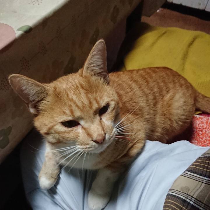 8c4b2187 eb9d 497a b96c cd1580cb2567 1571477149999