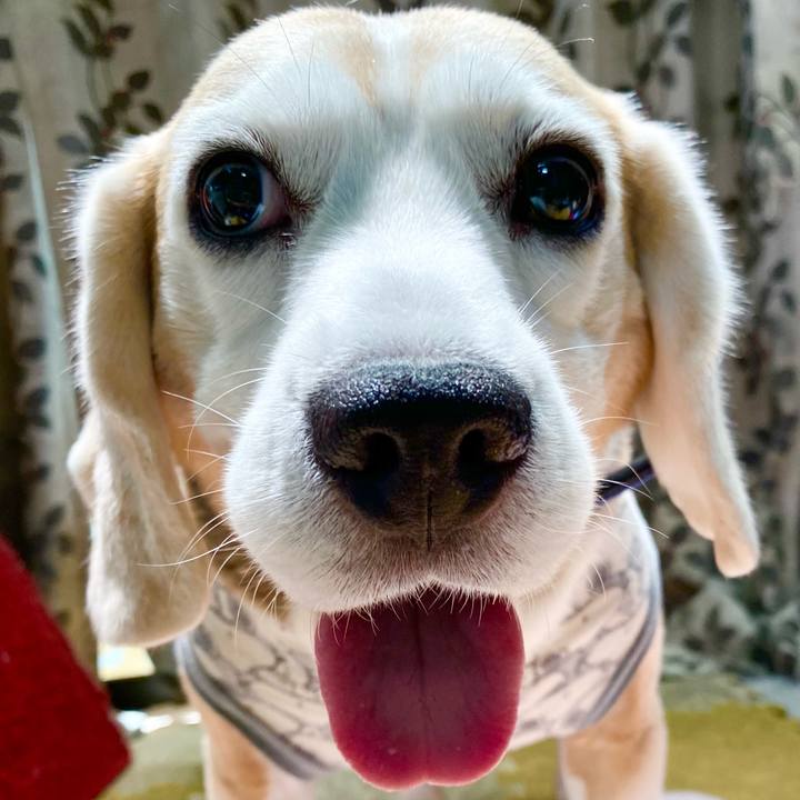 8c4b6b72 a3aa 44b0 9a30 a8a69332eabc 1626663702007