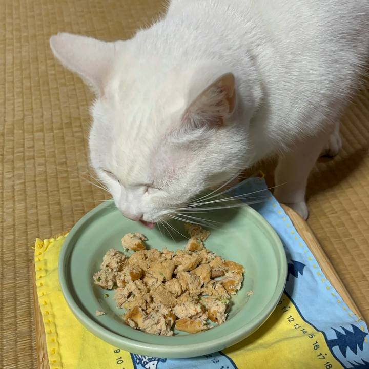 8c4b8562 3089 4e50 982a 9a50aa3ee863 1762871076491