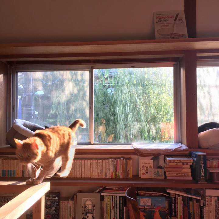 8c4b926a 7fb2 4138 a56c bfd19a181118 1572827895306