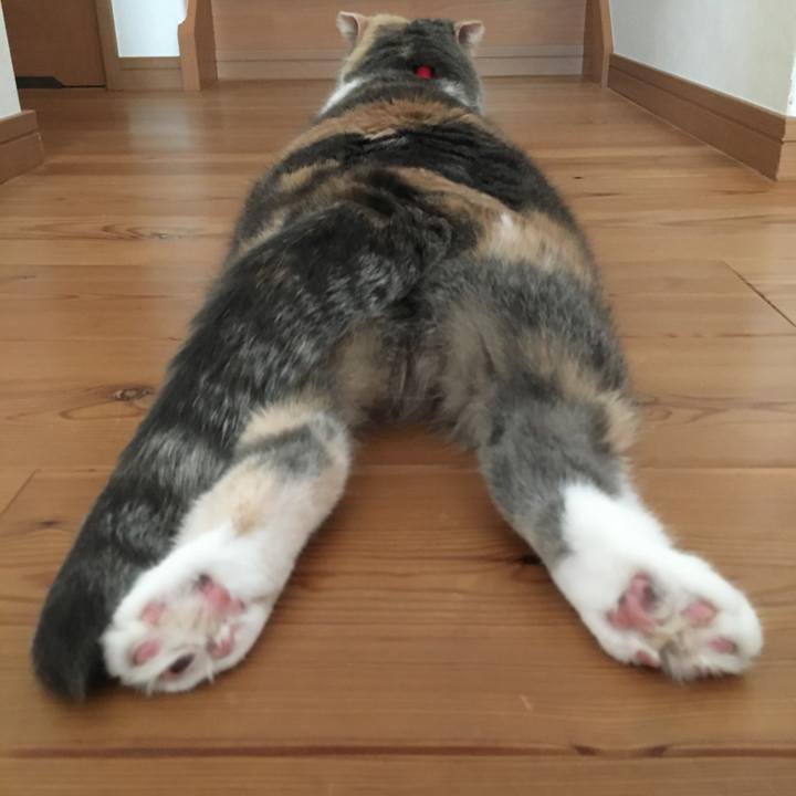 8c4bab35 4f03 4429 afc9 2168b998f80b 1591053298134