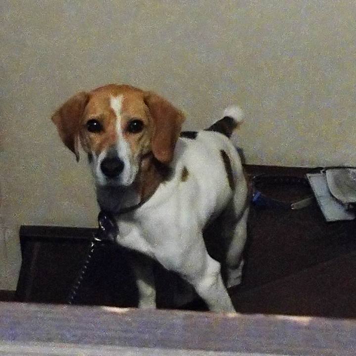 8c4bb11c 8040 444b 84f4 95d66dda52d1 1584023948216