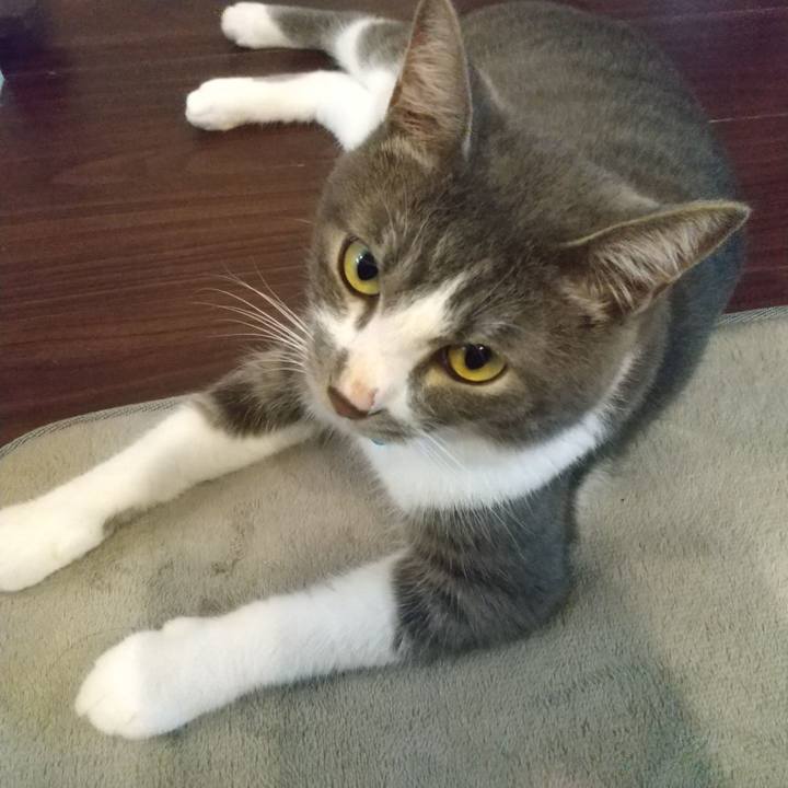 8c4bc41a 8274 488c 993b 9b550b414dea 1599866491401