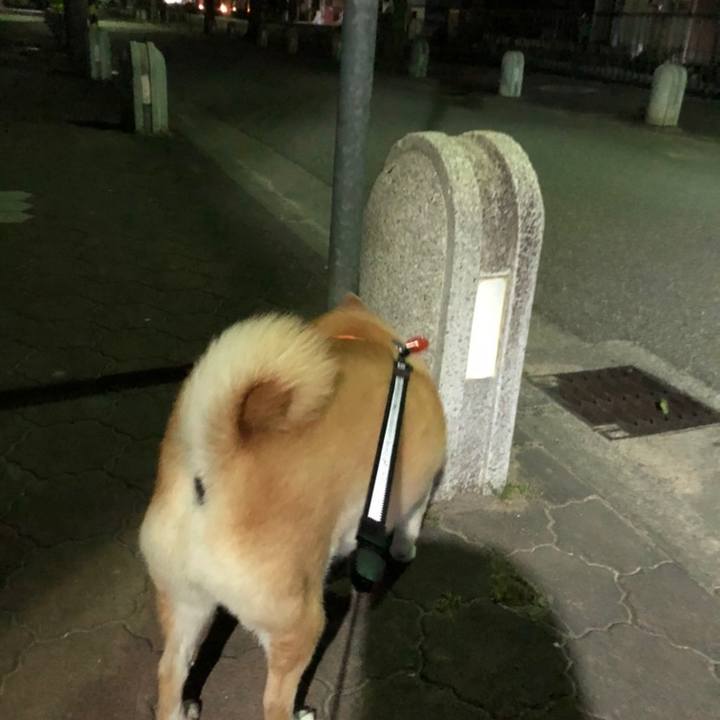 8c4bc63f 80c4 43b3 9e8a a2748050c156 1558273229540