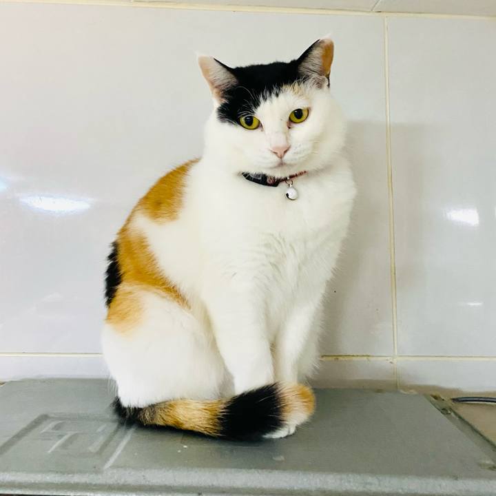 8c4bcb81 3d20 4d34 82ec 4a77fe127e50 1682374849076