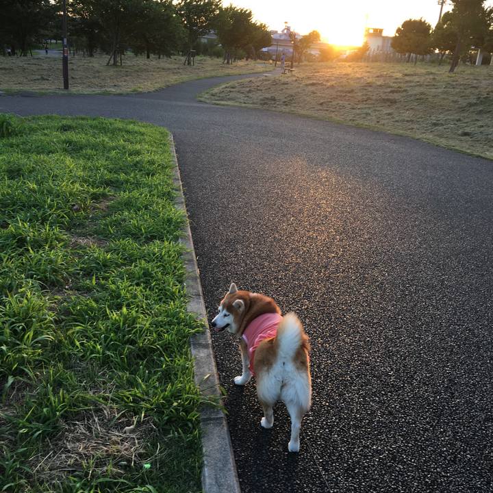 8c4bd230 7159 4a64 8067 897a745b21d9 1534594418448